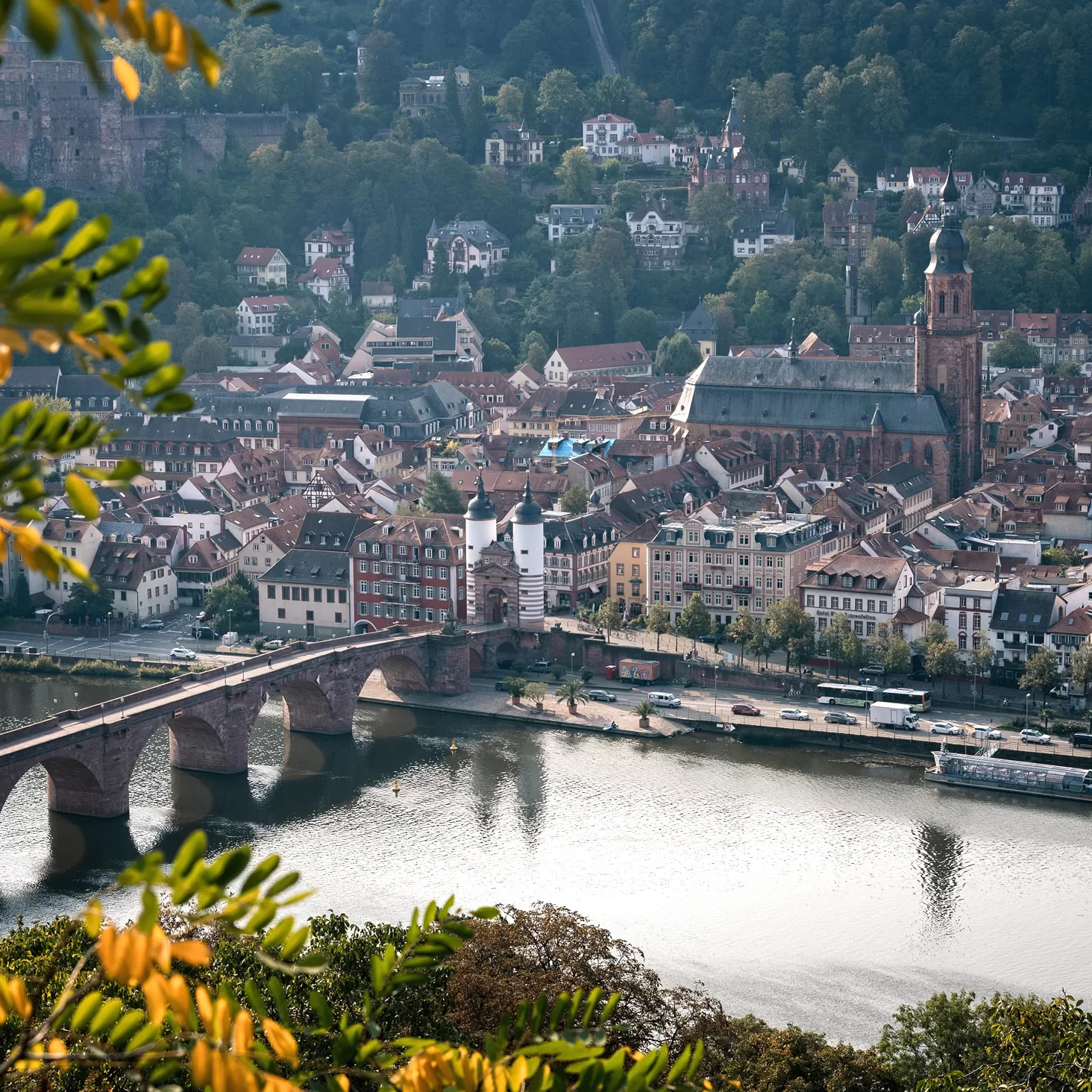 Zentrum für Potenzialentfaltung in 69117 Heidelberg