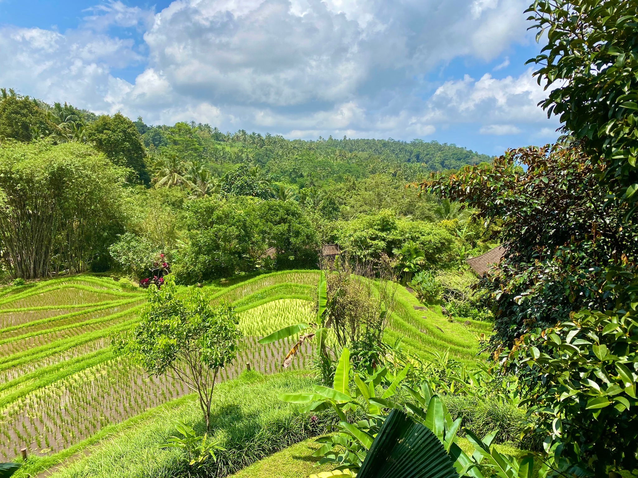 Impressionen Bali